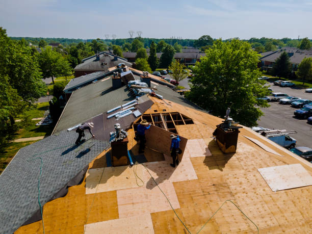 Best Storm Damage Roof Repair  in Glen Raven, NC
